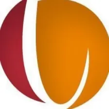Rádio VFM logo