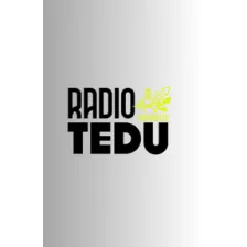 RadioTEDU Energize logo