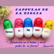 Capsulas de la Biblia logo