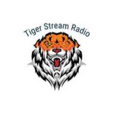 WUCR 107.9 "Tiger Stream Radio" - Lake Butler, Florida logo
