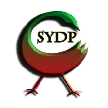 WSYP-LP 95.1 FM - Birmingham, AL - Sankofa Revolutionary Radio logo