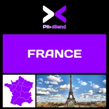 PlixSend France logo