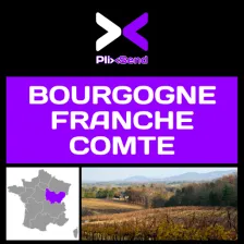 PlixSend Bourgogne Franche-Comté logo