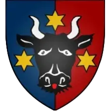 Radio Bucovina Muzica Populara logo