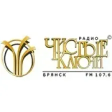 Чистые Ключи logo