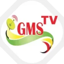 GMS FM 89.3 Ziguinchor logo
