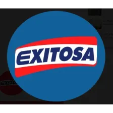 Radio Exitosa logo