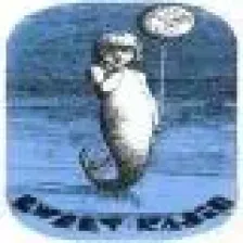 SweetRadio logo