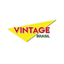 VINTAGE BRASIL logo