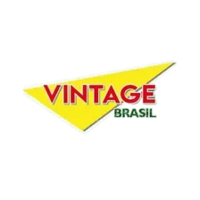 VINTAGE BRASIL logo