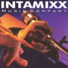 Intamixx logo