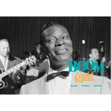 Boom Light logo