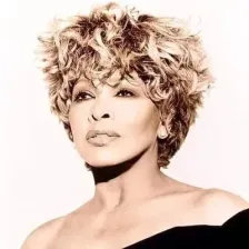 Exclusively Tina Turner logo