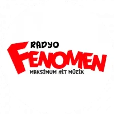 Fenomen Karışık 256 logo