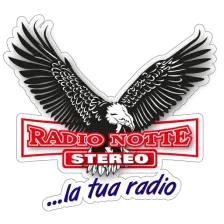 Radio Notte Stereo logo