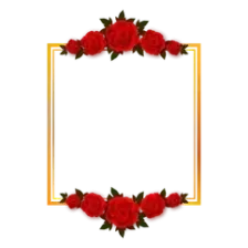 Ady picyu logo
