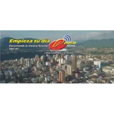 Pereira Stereo logo