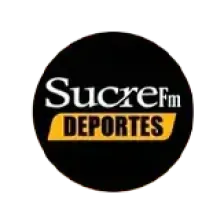 Play FM 95.3 logo