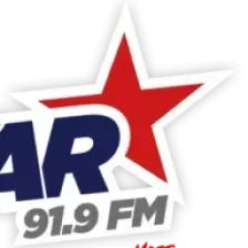 919 logo
