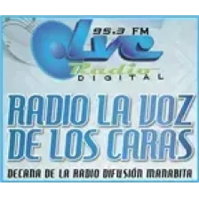 RADIO "LA VOZ DE LOS CARAS" 95.3 MHZ logo