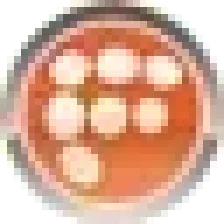 Freak31 logo