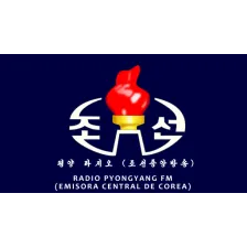 Pyongyang Radio FM logo