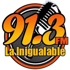 LA INIGUALABLE 91.3 (Amatepec) - 91.3 FM - XHPAMM-FM - Amatepec, Estado de México logo
