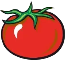 1029 Hot Tomato logo