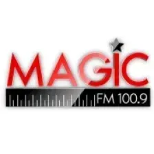 Radio Magic FM 100.9 Tigre logo