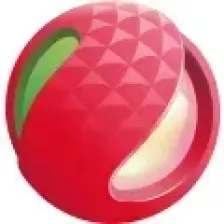 广东南粤之声 logo