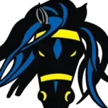 The Outlaw logo