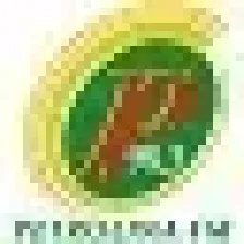 Rádio Petrolina FM (ZYX802, 98,3 MHz FM, Petronila, PE) logo