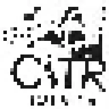 CITR - University of British Columbia logo