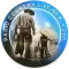 Radio Country Live logo