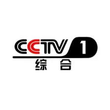 CCTV-1综合伴音 logo