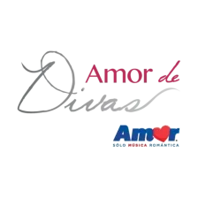 AMOR 95.3 (CDMX) - 95.3 FM - XHSH-FM - Grupo ACIR - Ciudad de México logo