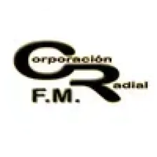 Dinámica 89.9 FM logo