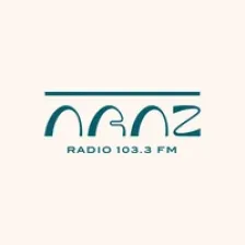Araz FM 103.3 logo