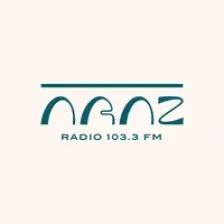 Araz FM 103.3 logo