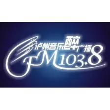 泸州对农经济生活广播 logo