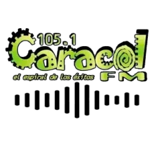 CARACOL RADIO 105.1 FM logo