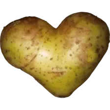 Mikulski_24/7 ( ಠ┏ل͜┓ಠ ) logo