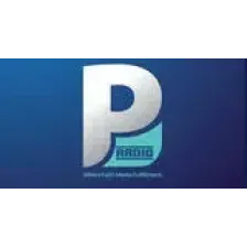 Promise Radio UG (MP3) logo