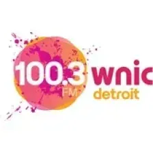 100.3 WNIC logo