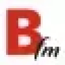 Bayerm FM logo