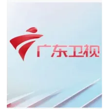 广东卫视伴音 logo