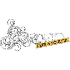 SSRadio logo