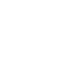 Everything Is New logo