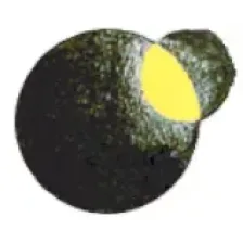 Orbital Rádio logo