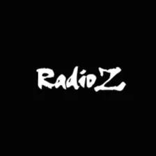 RadioZ 95.8 MHZ Community Radio Nürnberg logo
